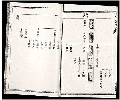 [下载][王氏支谱_16卷_王氏宗谱_王氏宗谱]湖北.王氏支谱_十.pdf