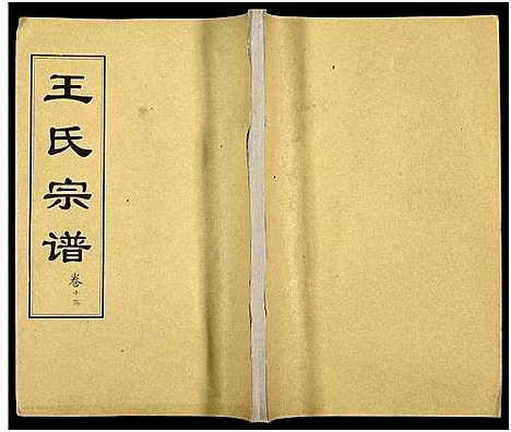 [下载][王氏支谱_16卷_王氏宗谱_王氏宗谱]湖北.王氏支谱_十四.pdf