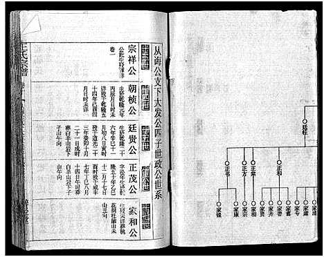 [下载][王氏宗谱_12卷首3卷]湖北.王氏家谱_十三.pdf