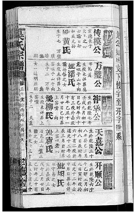 [下载][吴氏宗谱_65卷首4卷]湖北.吴氏家谱_三十八.pdf