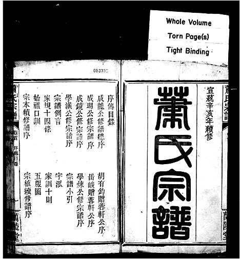 [下载][萧氏宗谱_10卷首1卷]湖北.萧氏家谱.pdf