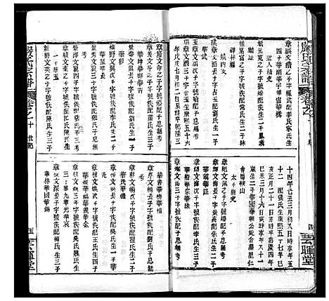 [下载][严氏宗谱_28卷_澴川严氏宗谱_严氏宗谱]湖北.严氏家谱_九.pdf