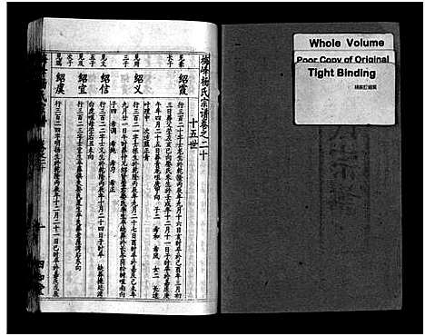 [下载][梅峰杨氏宗谱_杨氏宗谱_杨氏八修宗谱]湖北.梅峰杨氏家谱_九.pdf