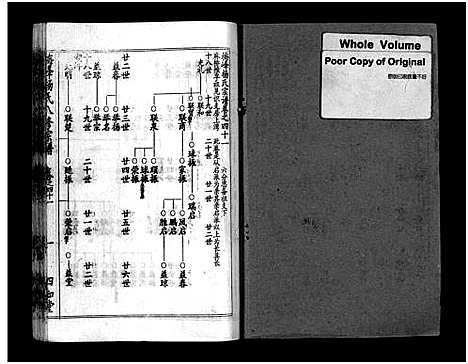 [下载][梅峰杨氏宗谱_杨氏宗谱_杨氏八修宗谱]湖北.梅峰杨氏家谱_二十.pdf