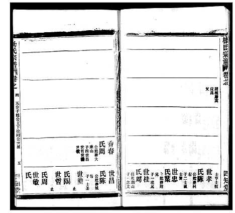 [下载][杨氏宗谱]湖北.杨氏家谱_二十七.pdf