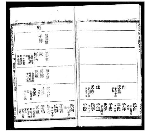 [下载][杨氏宗谱]湖北.杨氏家谱_二十九.pdf