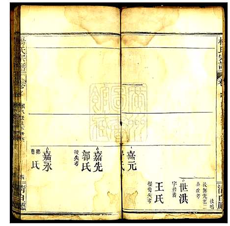 [下载][杨氏宗谱]湖北.杨氏家谱_十九.pdf