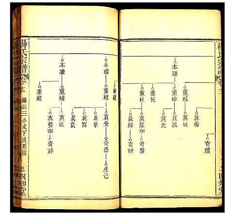 [下载][杨氏宗谱]湖北.杨氏家谱_十三.pdf