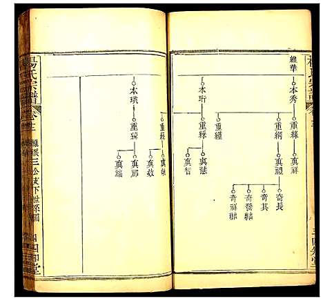 [下载][杨氏宗谱]湖北.杨氏家谱_十三.pdf