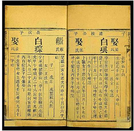 [下载][杨氏宗谱_10卷]湖北.杨氏家谱_九.pdf