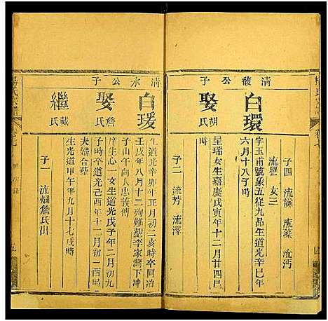 [下载][杨氏宗谱_10卷]湖北.杨氏家谱_九.pdf