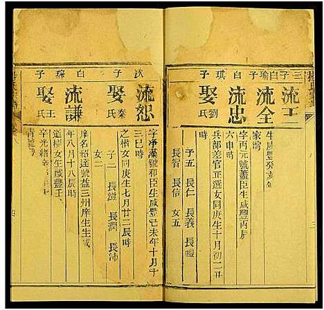 [下载][杨氏宗谱_10卷]湖北.杨氏家谱_十二.pdf