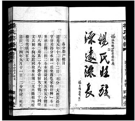 [下载][杨氏宗谱_52卷首6卷_杨氏宗谱]湖北.杨氏家谱_四.pdf