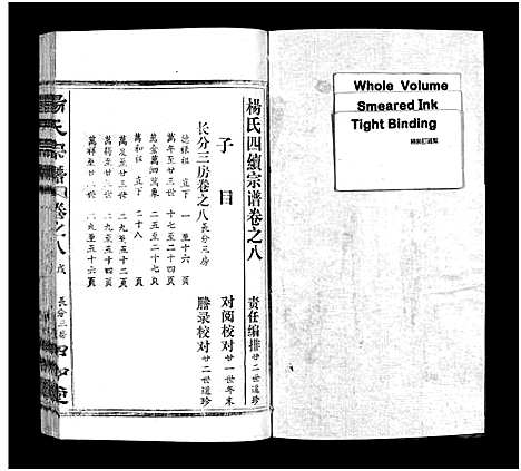 [下载][杨氏宗谱_52卷首6卷_杨氏宗谱]湖北.杨氏家谱_十三.pdf