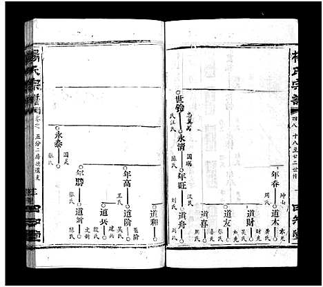 [下载][杨氏宗谱_52卷首6卷_杨氏宗谱]湖北.杨氏家谱_四十五.pdf