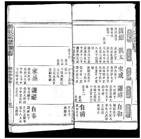 [下载][杨氏宗谱_不分卷]湖北.杨氏家谱_四.pdf