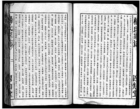 [下载][杨氏家志_按房分卷首1卷_杨氏家志]湖北.杨氏家志_一.pdf