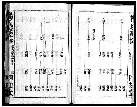 [下载][杨氏家志_按房分卷首1卷_杨氏家志]湖北.杨氏家志_三.pdf