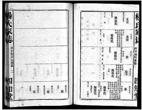 [下载][杨氏家志_按房分卷首1卷_杨氏家志]湖北.杨氏家志_十二.pdf