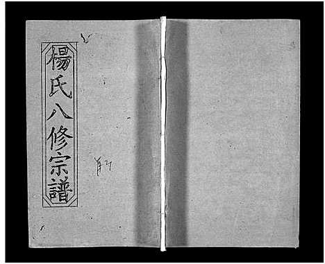 [下载][浠川杨氏大分八修宗谱_53卷_杨氏八修宗谱]湖北.浠川杨氏大分八修家谱_二.pdf