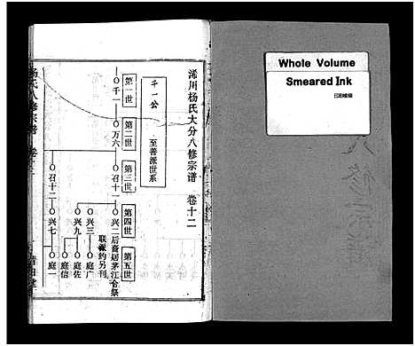 [下载][浠川杨氏大分八修宗谱_53卷_杨氏八修宗谱]湖北.浠川杨氏大分八修家谱_八.pdf