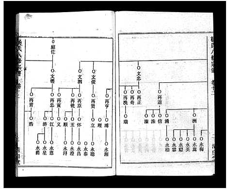 [下载][浠川杨氏大分八修宗谱_53卷_杨氏八修宗谱]湖北.浠川杨氏大分八修家谱_八.pdf