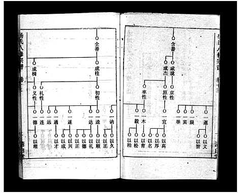 [下载][浠川杨氏大分八修宗谱_53卷_杨氏八修宗谱]湖北.浠川杨氏大分八修家谱_九.pdf