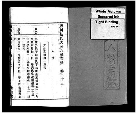 [下载][浠川杨氏大分八修宗谱_53卷_杨氏八修宗谱]湖北.浠川杨氏大分八修家谱_二十二.pdf