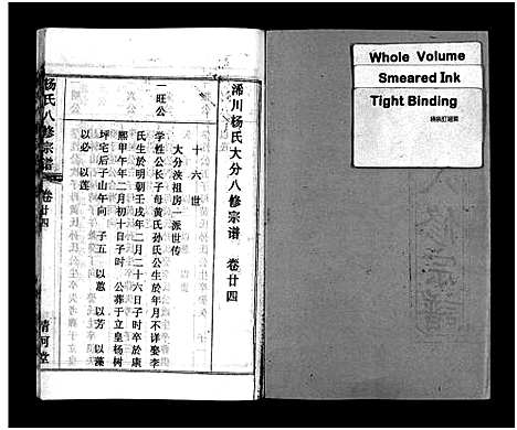 [下载][浠川杨氏大分八修宗谱_53卷_杨氏八修宗谱]湖北.浠川杨氏大分八修家谱_二十三.pdf