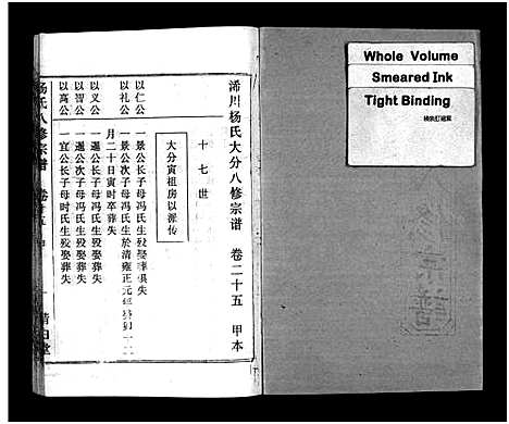 [下载][浠川杨氏大分八修宗谱_53卷_杨氏八修宗谱]湖北.浠川杨氏大分八修家谱_二十四.pdf