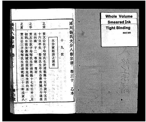 [下载][浠川杨氏大分八修宗谱_53卷_杨氏八修宗谱]湖北.浠川杨氏大分八修家谱_二十九.pdf