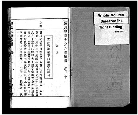 [下载][浠川杨氏大分八修宗谱_53卷_杨氏八修宗谱]湖北.浠川杨氏大分八修家谱_三十.pdf