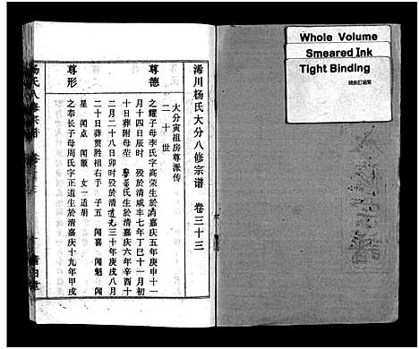 [下载][浠川杨氏大分八修宗谱_53卷_杨氏八修宗谱]湖北.浠川杨氏大分八修家谱_三十二.pdf