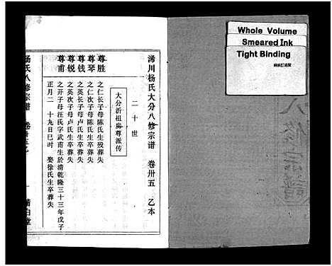 [下载][浠川杨氏大分八修宗谱_53卷_杨氏八修宗谱]湖北.浠川杨氏大分八修家谱_三十五.pdf