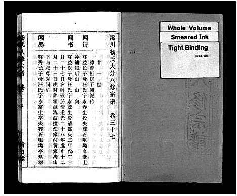 [下载][浠川杨氏大分八修宗谱_53卷_杨氏八修宗谱]湖北.浠川杨氏大分八修家谱_三十七.pdf