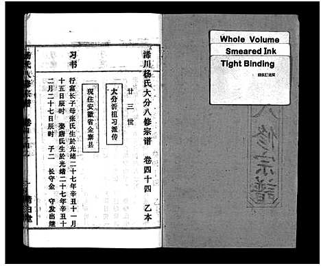 [下载][浠川杨氏大分八修宗谱_53卷_杨氏八修宗谱]湖北.浠川杨氏大分八修家谱_四十八.pdf