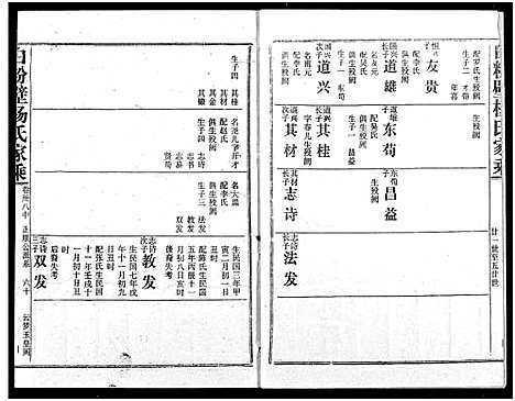 [下载][白粉壁杨氏宗谱]湖北.白粉壁杨氏家谱_二十.pdf