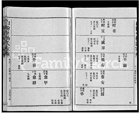 [下载][白粉壁杨氏家乘_38卷首末各1卷]湖北.白粉壁杨氏家乘_三.pdf