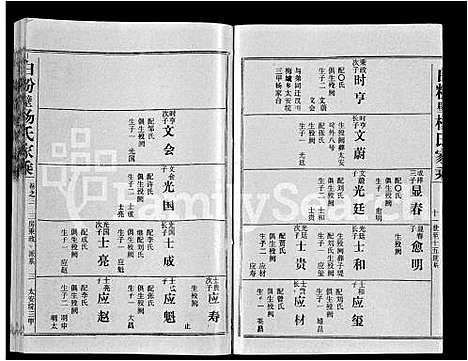 [下载][白粉壁杨氏家乘_38卷首末各1卷]湖北.白粉壁杨氏家乘_三.pdf