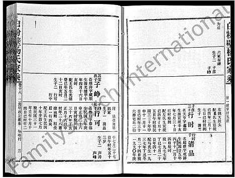 [下载][白粉壁杨氏家乘_38卷首末各1卷]湖北.白粉壁杨氏家乘_十三.pdf