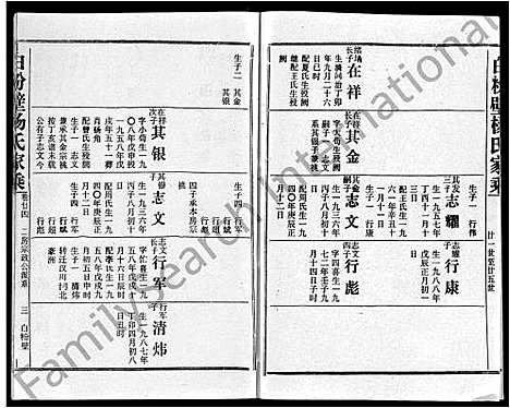 [下载][白粉壁杨氏家乘_38卷首末各1卷]湖北.白粉壁杨氏家乘_十七.pdf