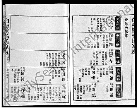 [下载][白粉壁杨氏家乘_38卷首末各1卷]湖北.白粉壁杨氏家乘_三十一.pdf