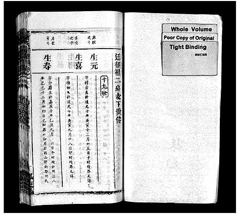 [下载][叶氏宗谱_57卷_叶氏宗谱]湖北.叶氏家谱_四十二.pdf