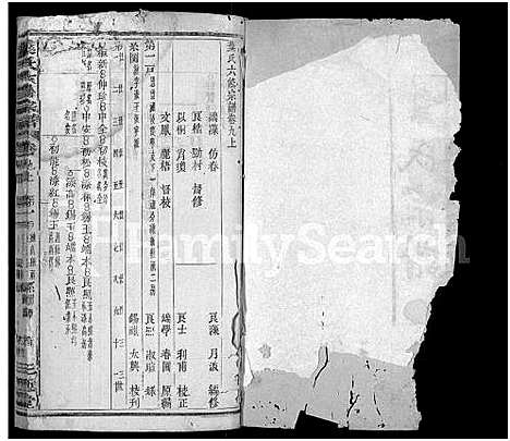 [下载][叶氏六修宗谱_88卷_及卷首_叶氏宗谱]湖北.叶氏六修家谱_八.pdf