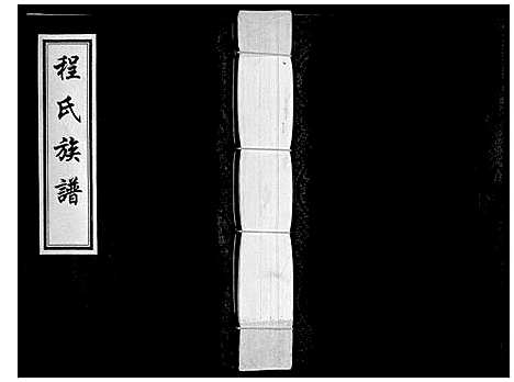 [下载][程氏族谱]河北.程氏家谱.pdf