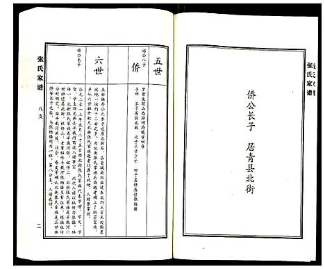 [下载][张氏家谱]河北.张氏家谱_十二.pdf