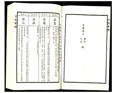 [下载][王氏家谱]河北.王氏家谱_九.pdf