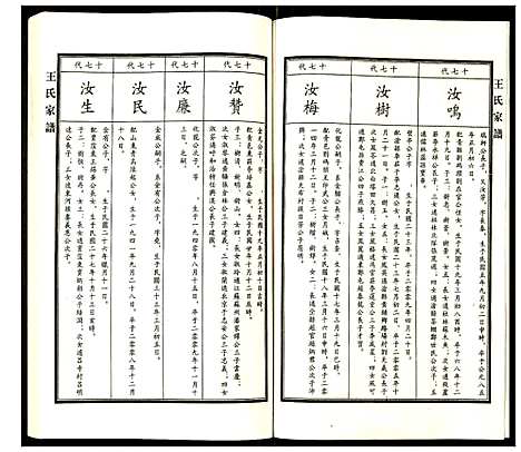 [下载][王氏家谱]河北.王氏家谱_十一.pdf