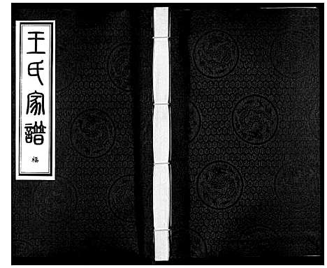 [下载][王氏家谱_5卷]河北.王氏家谱_一.pdf