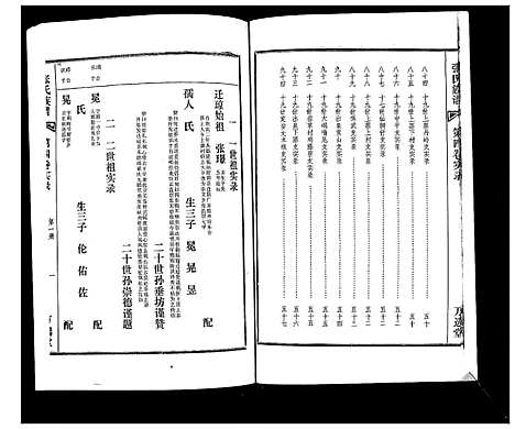 [下载][张氏族谱_4卷]海南.张氏家谱_四.pdf